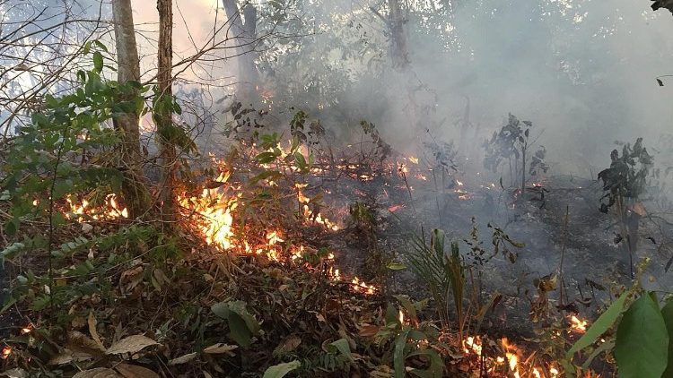 L’ Amazonie en flammes . Amazonie_Incendies-2019